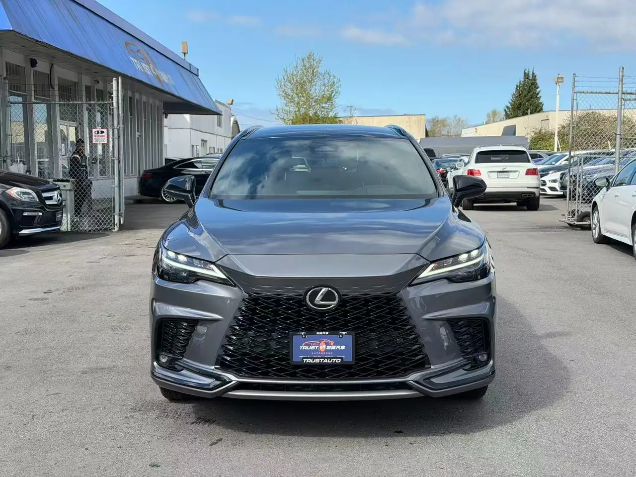 Lexus RX 500h снимка Lexus RX 500h