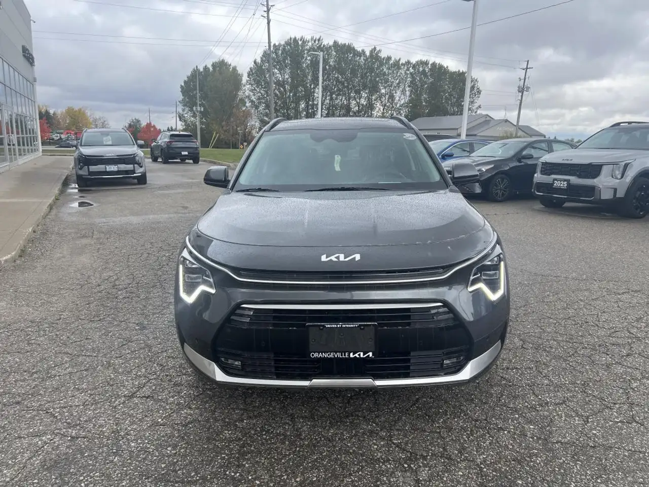 Kia Niro fotografie Kia Niro