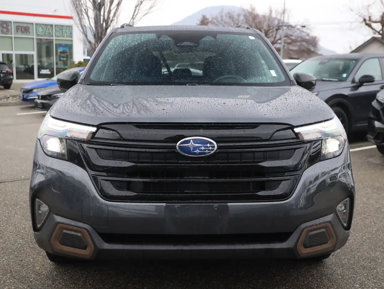 Subaru Forester photo Subaru Forester