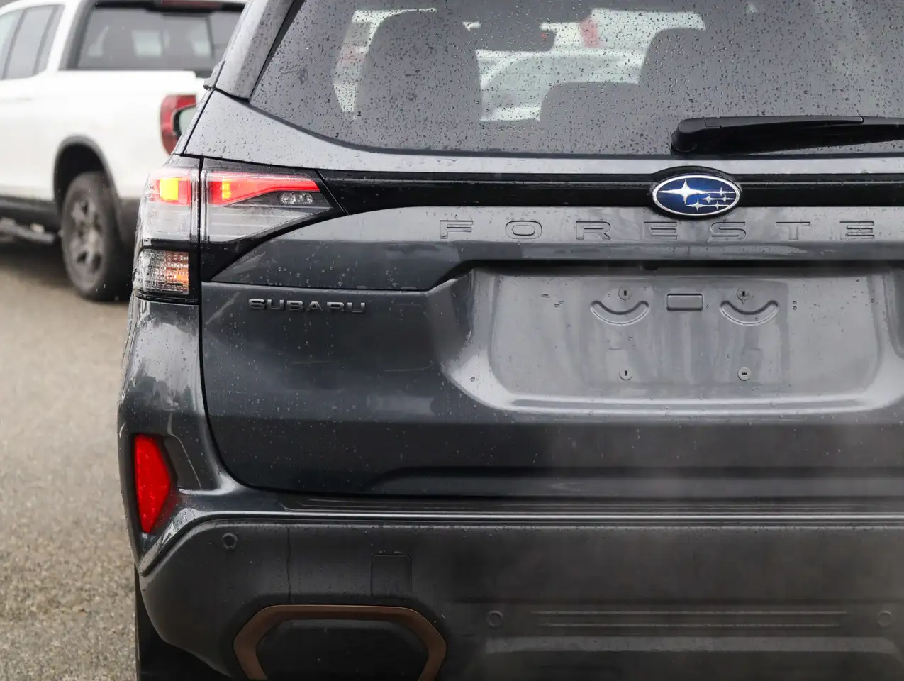 Subaru Forester photo Subaru Forester