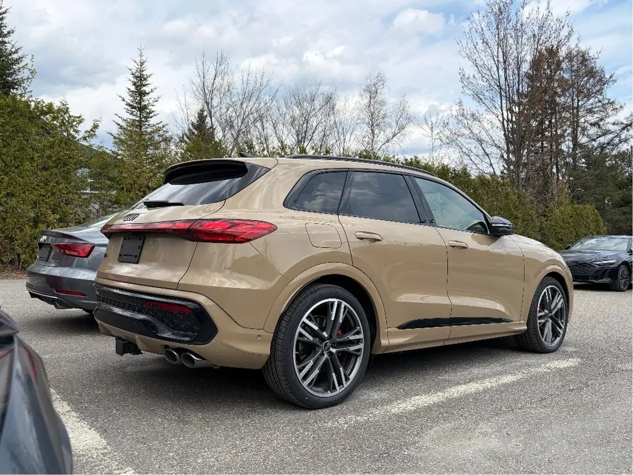 Audi SQ5 fotografie Audi SQ5