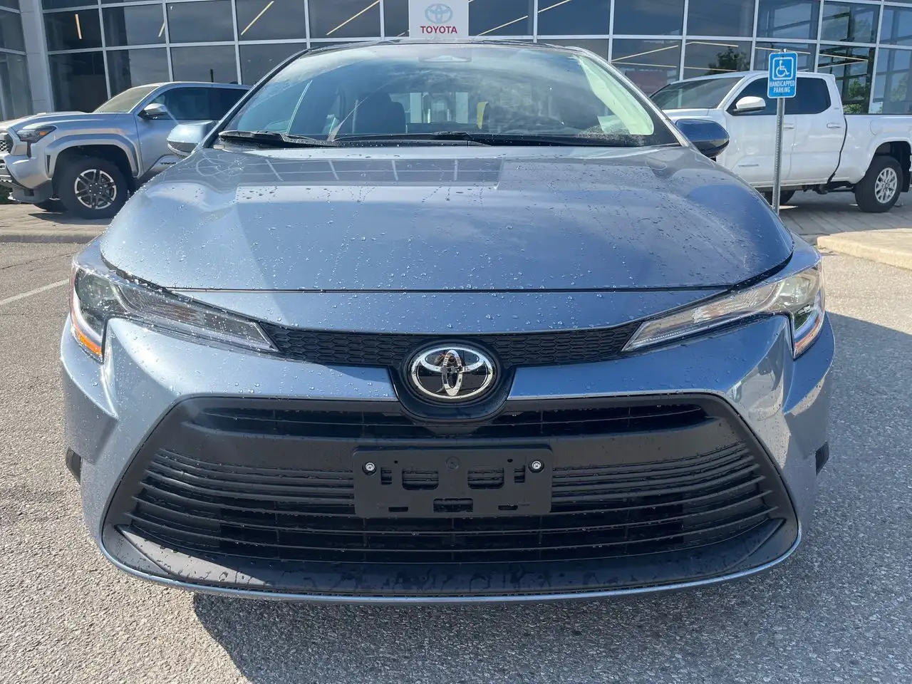 Toyota Corolla снимка Toyota Corolla