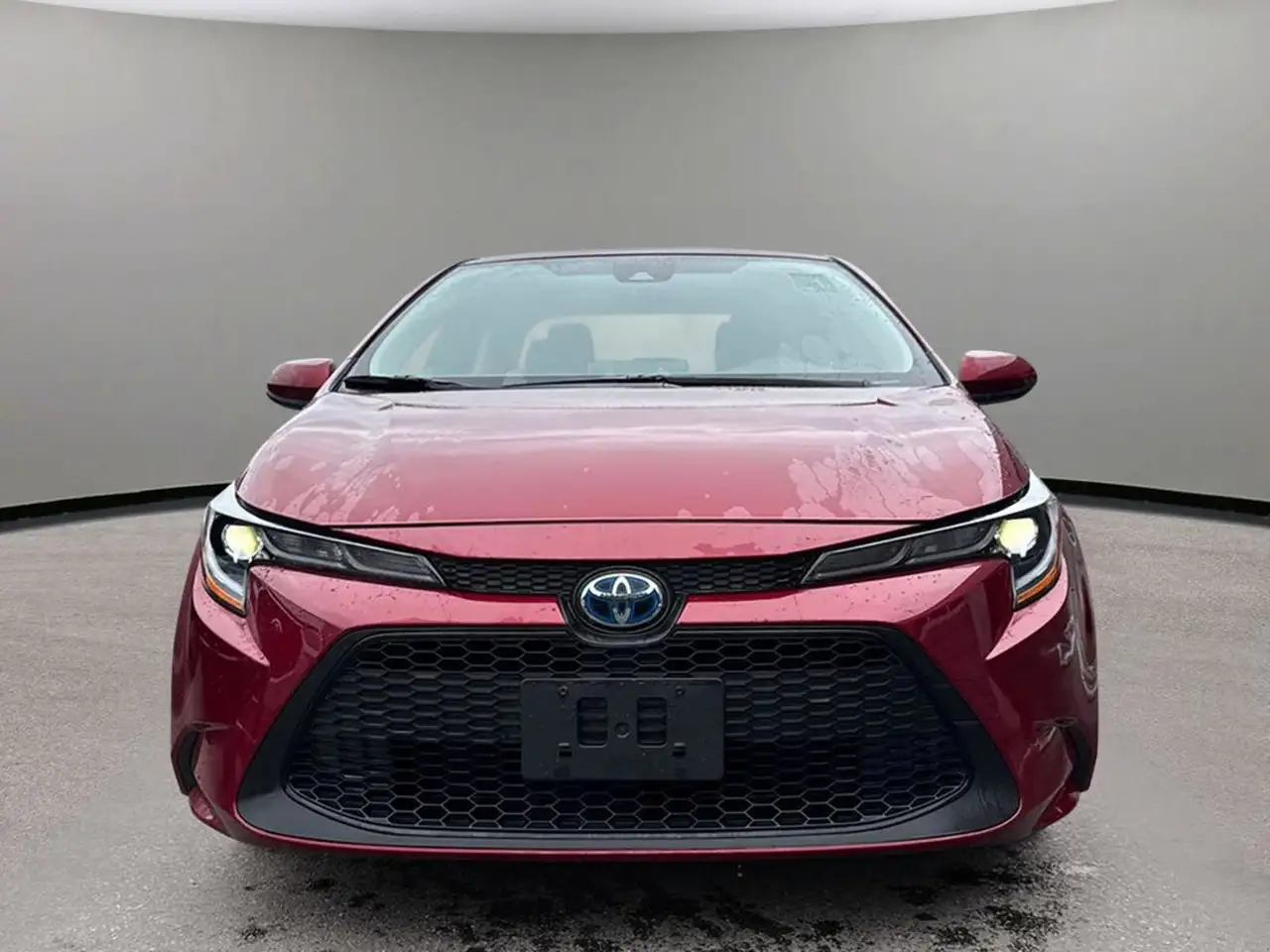 Toyota Corolla photo Toyota Corolla