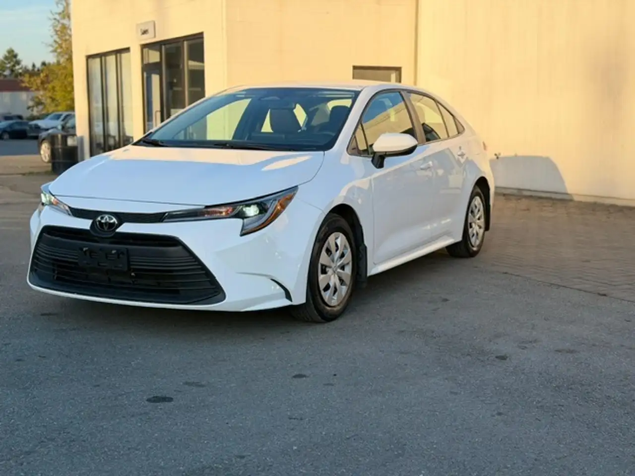 Toyota Corolla fotografie Toyota Corolla