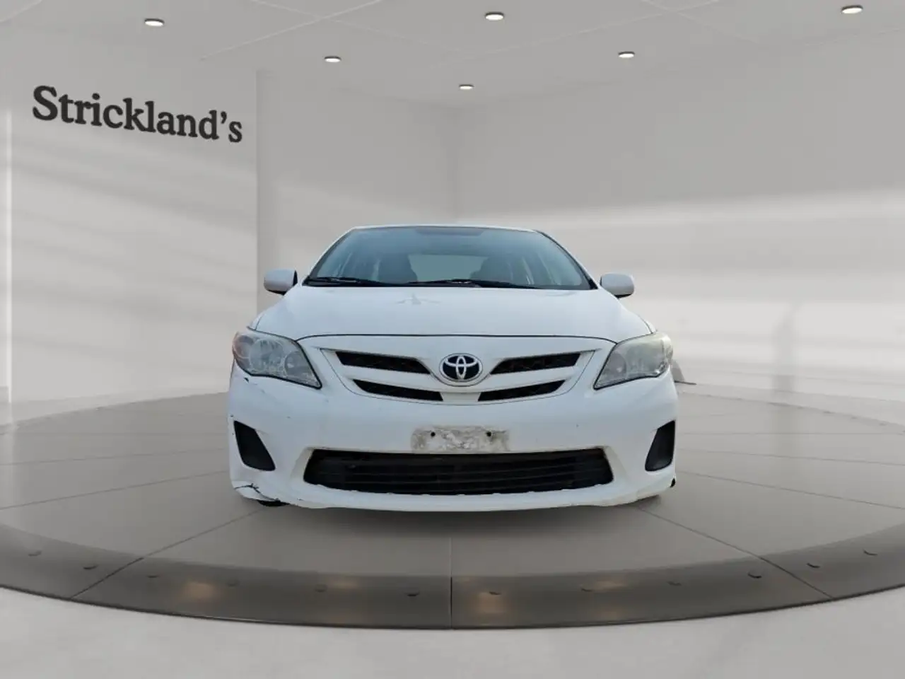 Toyota Corolla fotografie Toyota Corolla