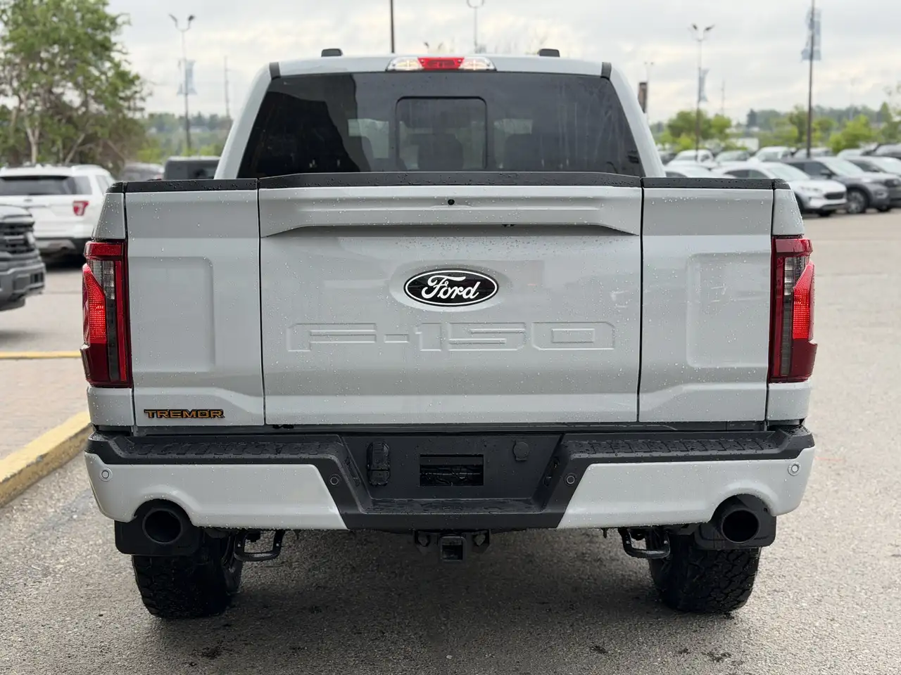 Ford F 150 снимка Ford F 150