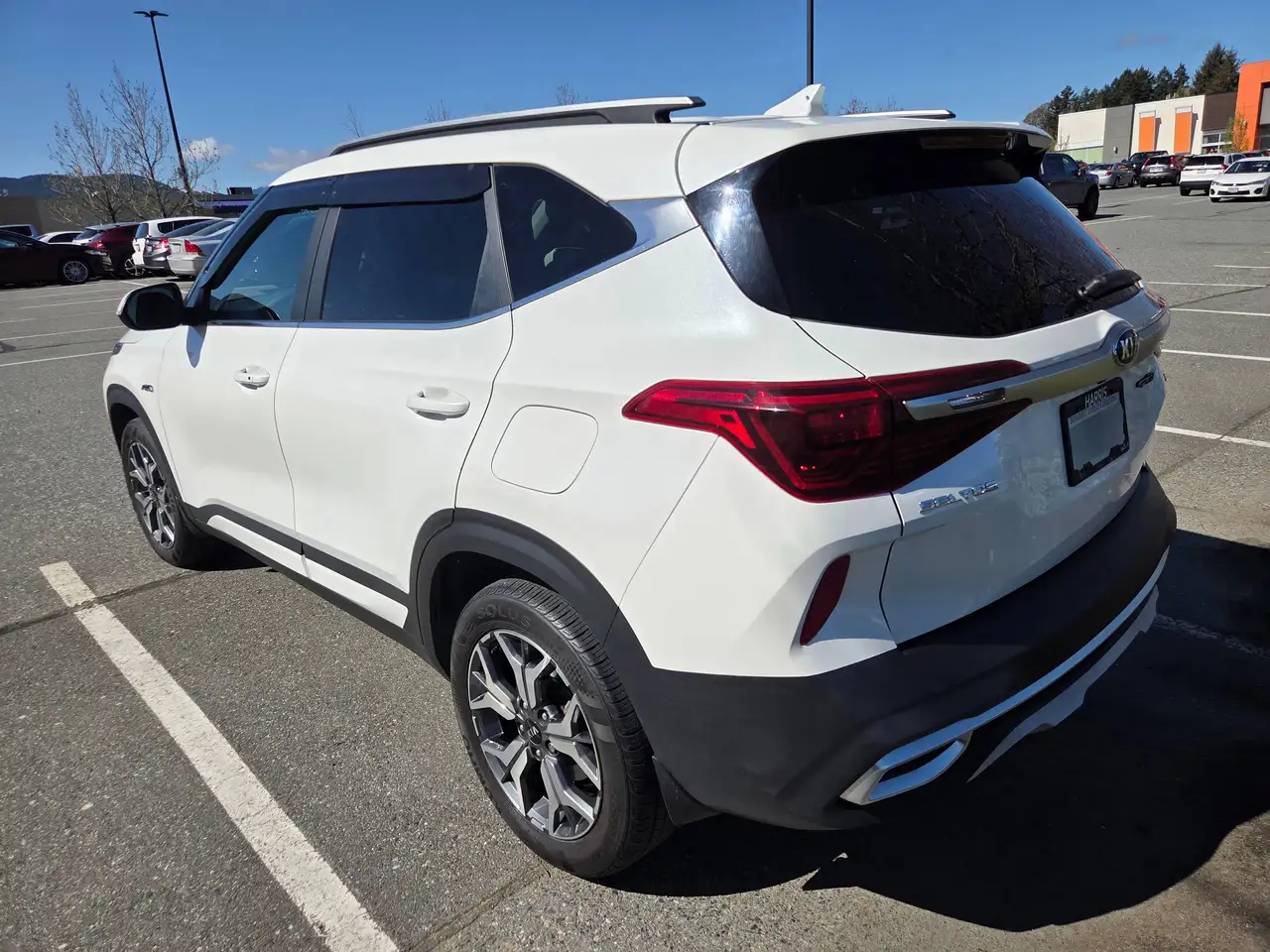 Kia Seltos photo Kia Seltos