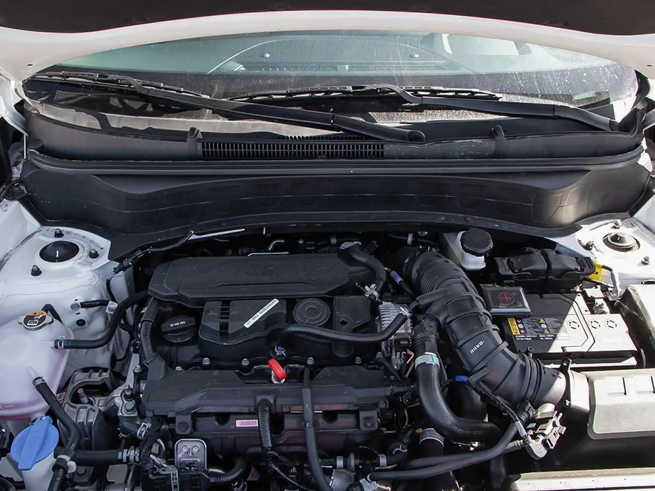 Kia Seltos fotografie Kia Seltos