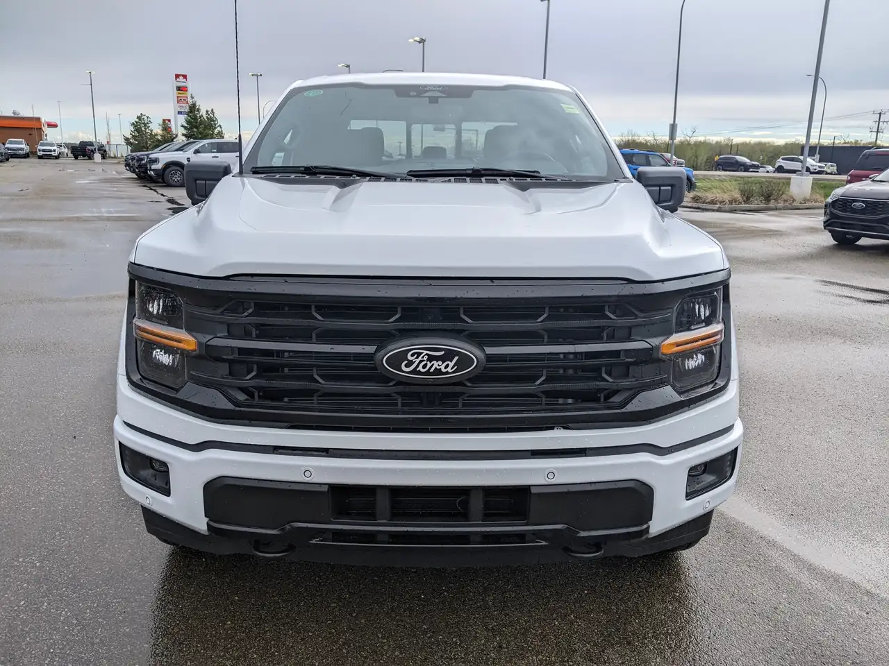 Ford F 150 fotografie Ford F 150
