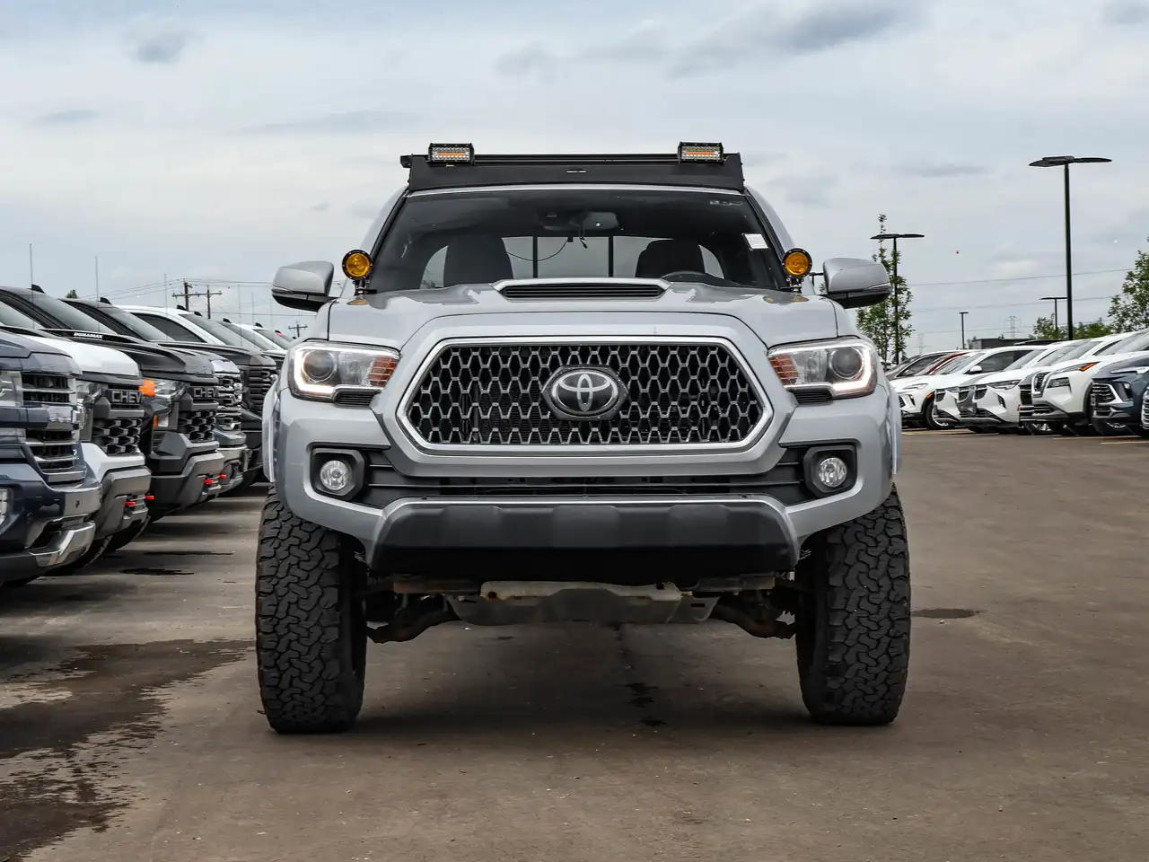 Toyota Tacoma fotografie Toyota Tacoma