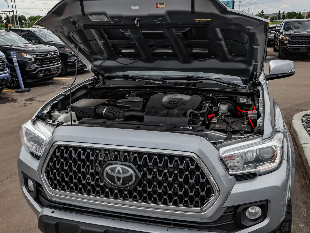 Toyota Tacoma fotografie Toyota Tacoma
