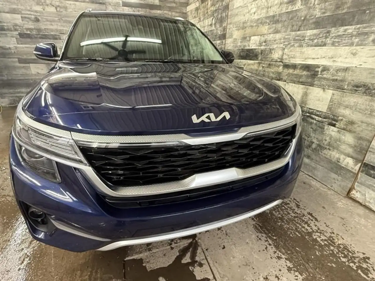 Kia Seltos photo Kia Seltos