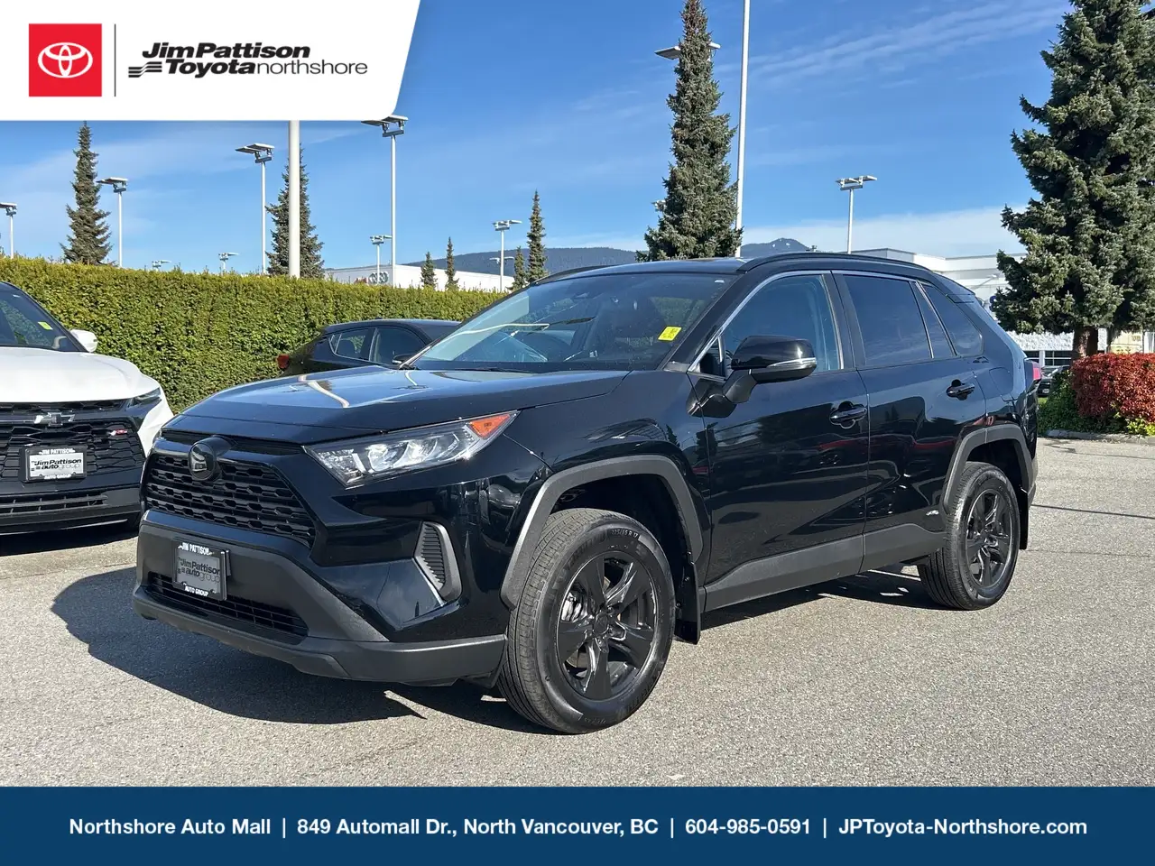 2024 Toyota RAV 4