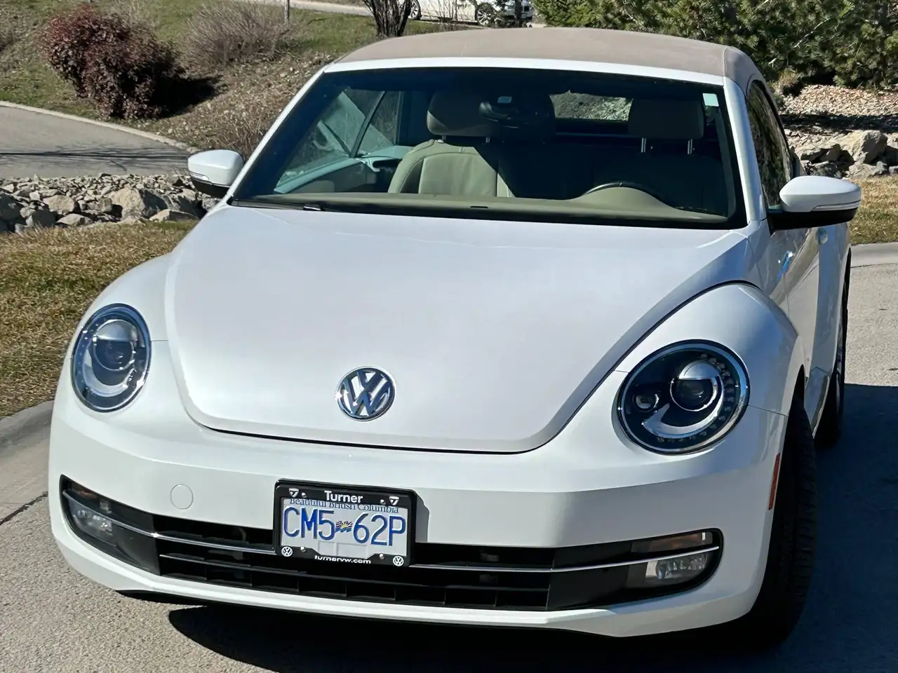 Volkswagen Beetle photo Volkswagen Beetle