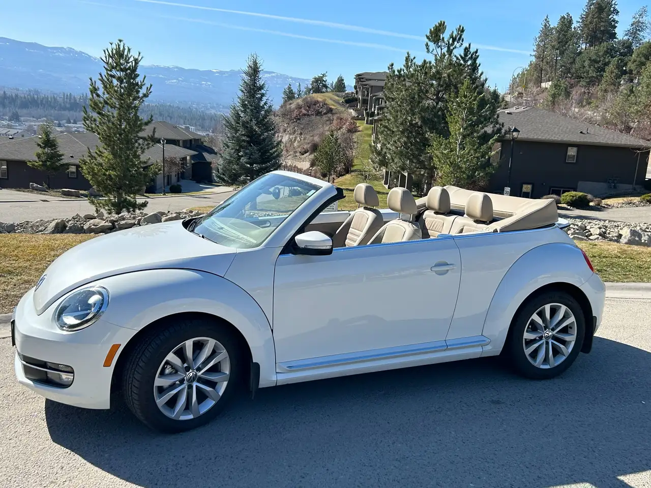 Volkswagen Beetle photo Volkswagen Beetle