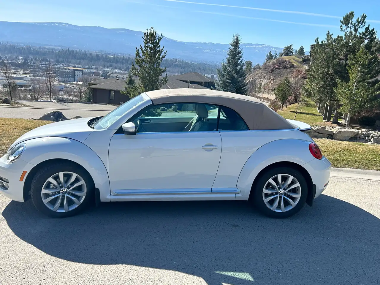 Volkswagen Beetle photo Volkswagen Beetle
