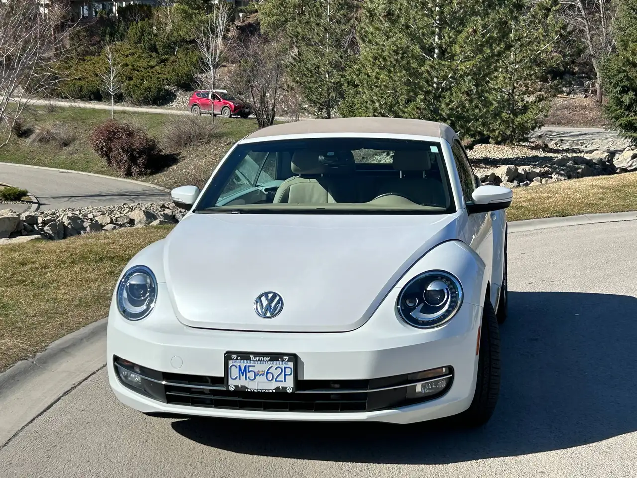 Volkswagen Beetle photo Volkswagen Beetle
