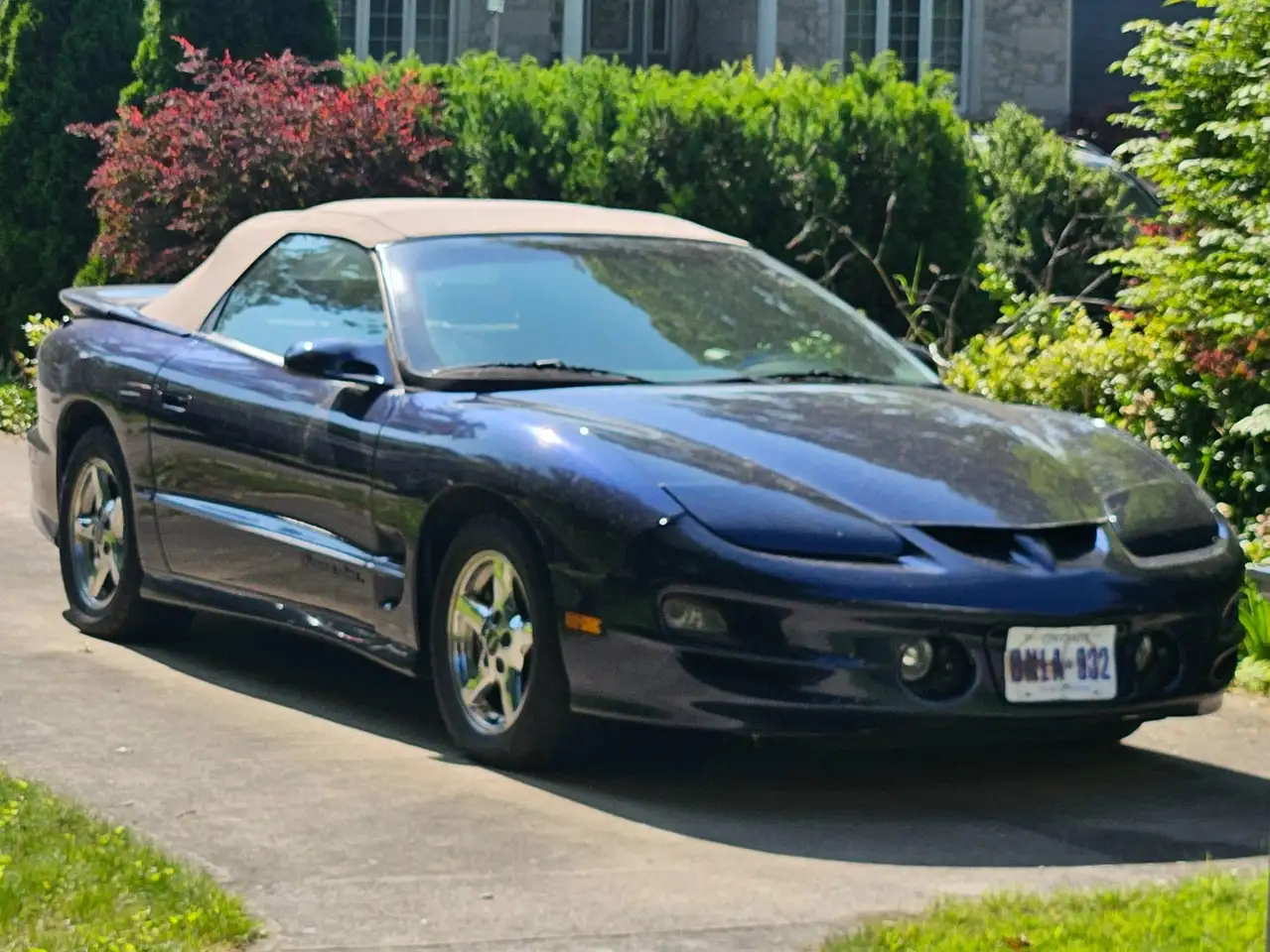 1999 Pontiac Firebird