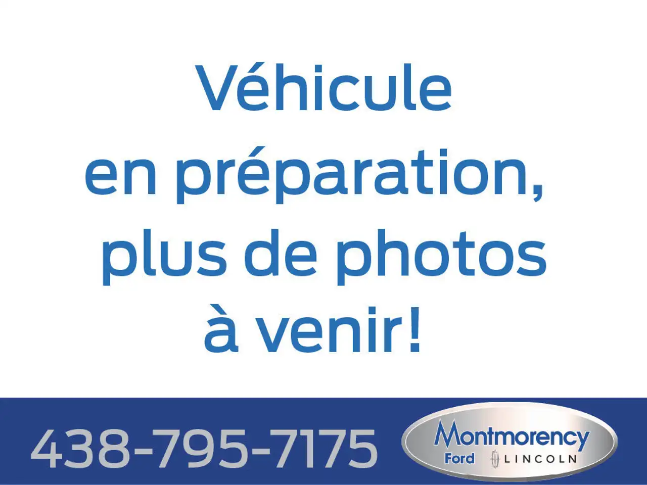 Ford Transit Cargo Van fotografie Ford Transit Cargo Van
