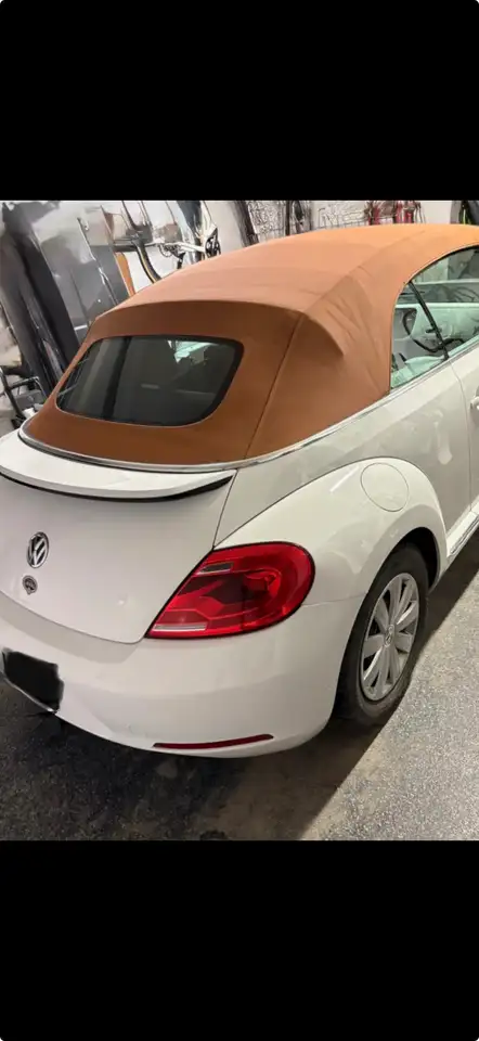 Volkswagen Beetle fotografie Volkswagen Beetle