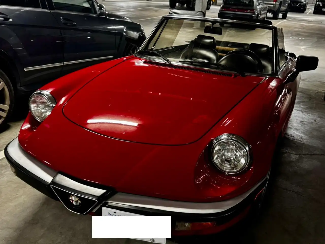 1986 Alfa Romeo Spider
