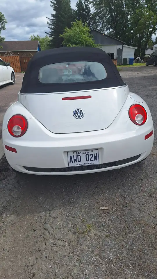 Volkswagen Beetle fotografie Volkswagen Beetle