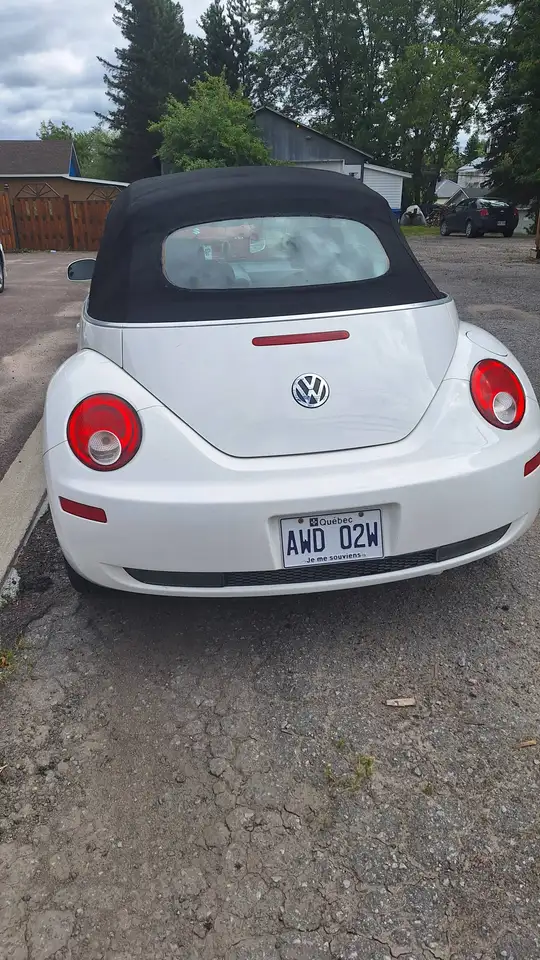 Volkswagen Beetle fotografie Volkswagen Beetle
