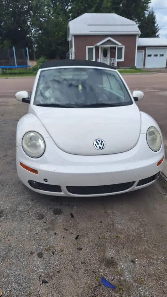 Volkswagen Beetle fotografie Volkswagen Beetle