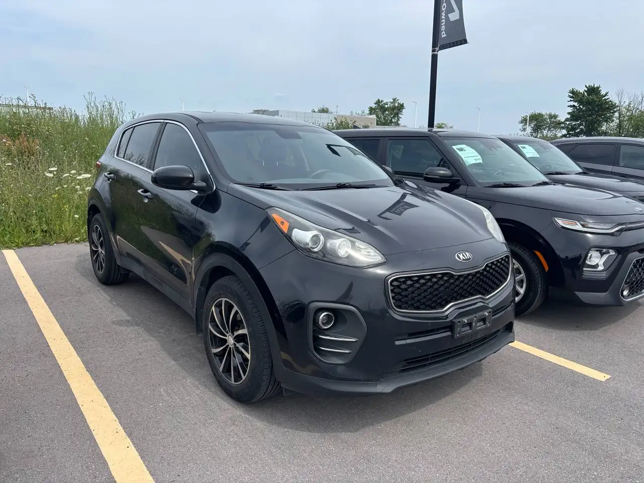 Kia Sportage fotografie Kia Sportage