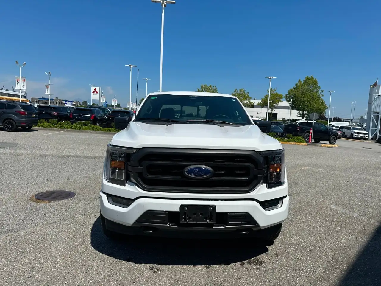 Ford F 150 fotografie Ford F 150