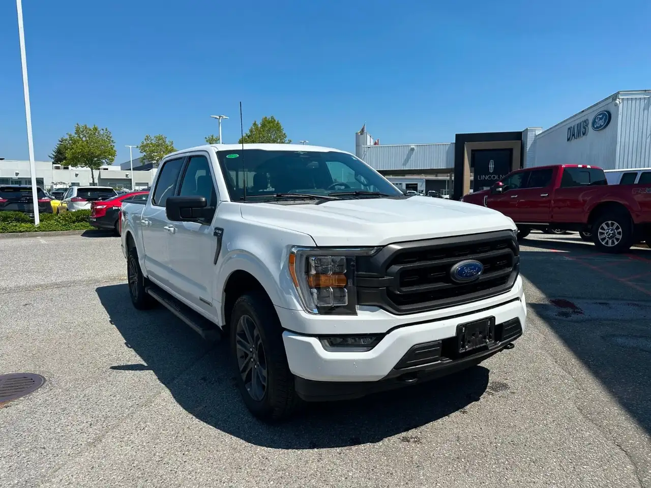 Ford F 150 fotografie Ford F 150