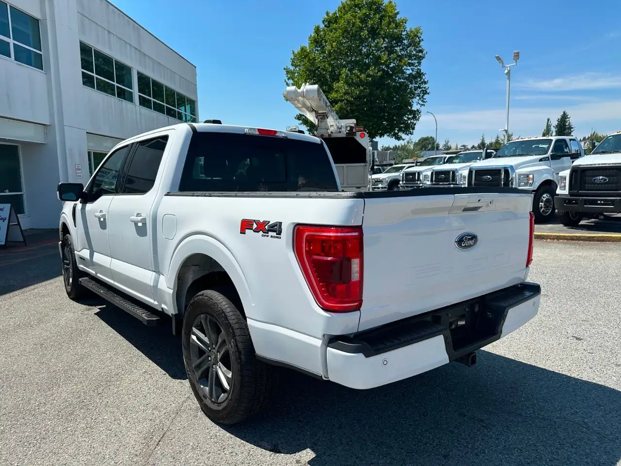 Ford F 150 fotografie Ford F 150
