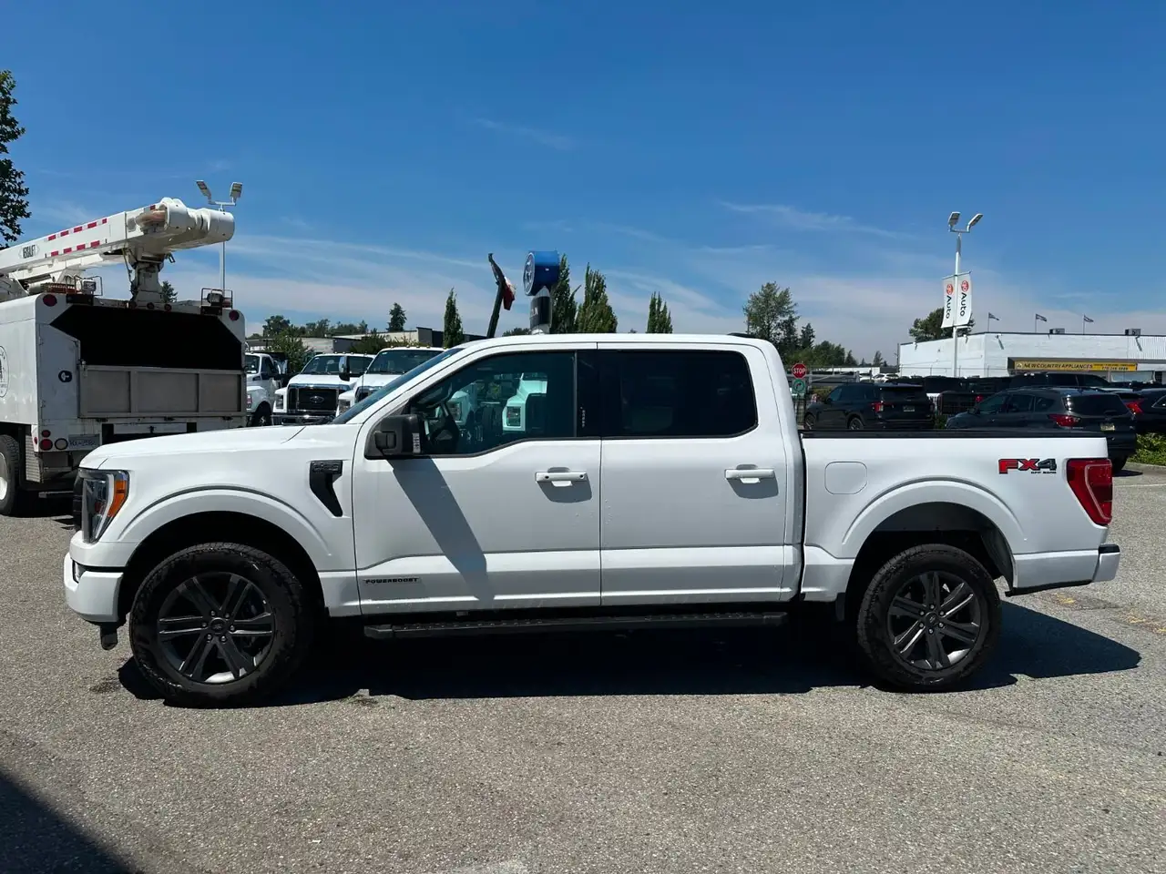 Ford F 150 fotografie Ford F 150