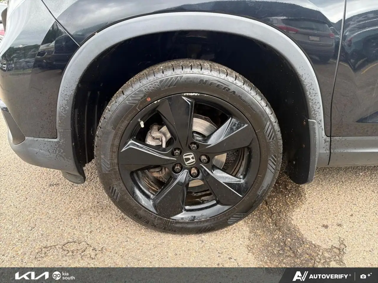 Honda Passport photo Honda Passport