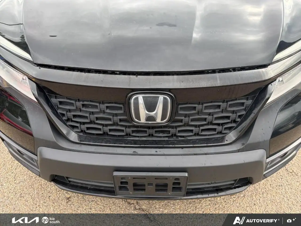 Honda Passport photo Honda Passport