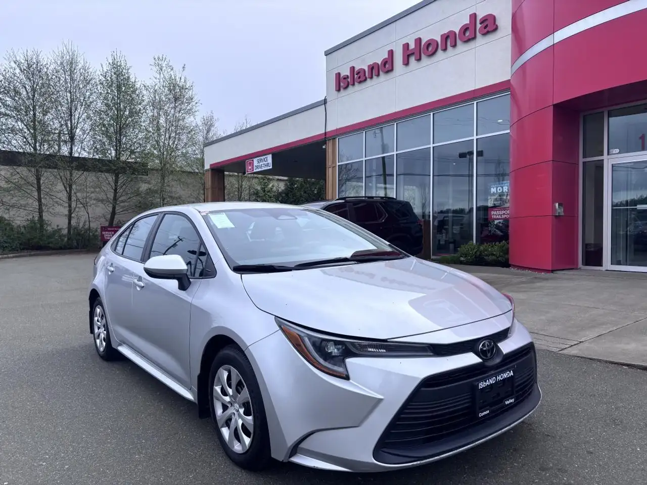 Toyota Corolla photo Toyota Corolla