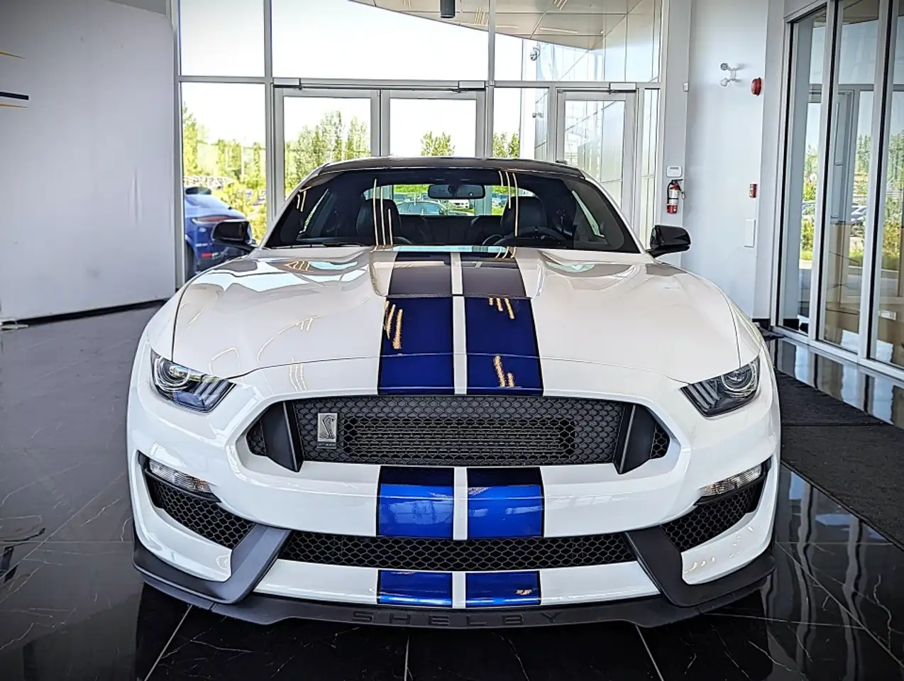 Ford Mustang photo Ford Mustang
