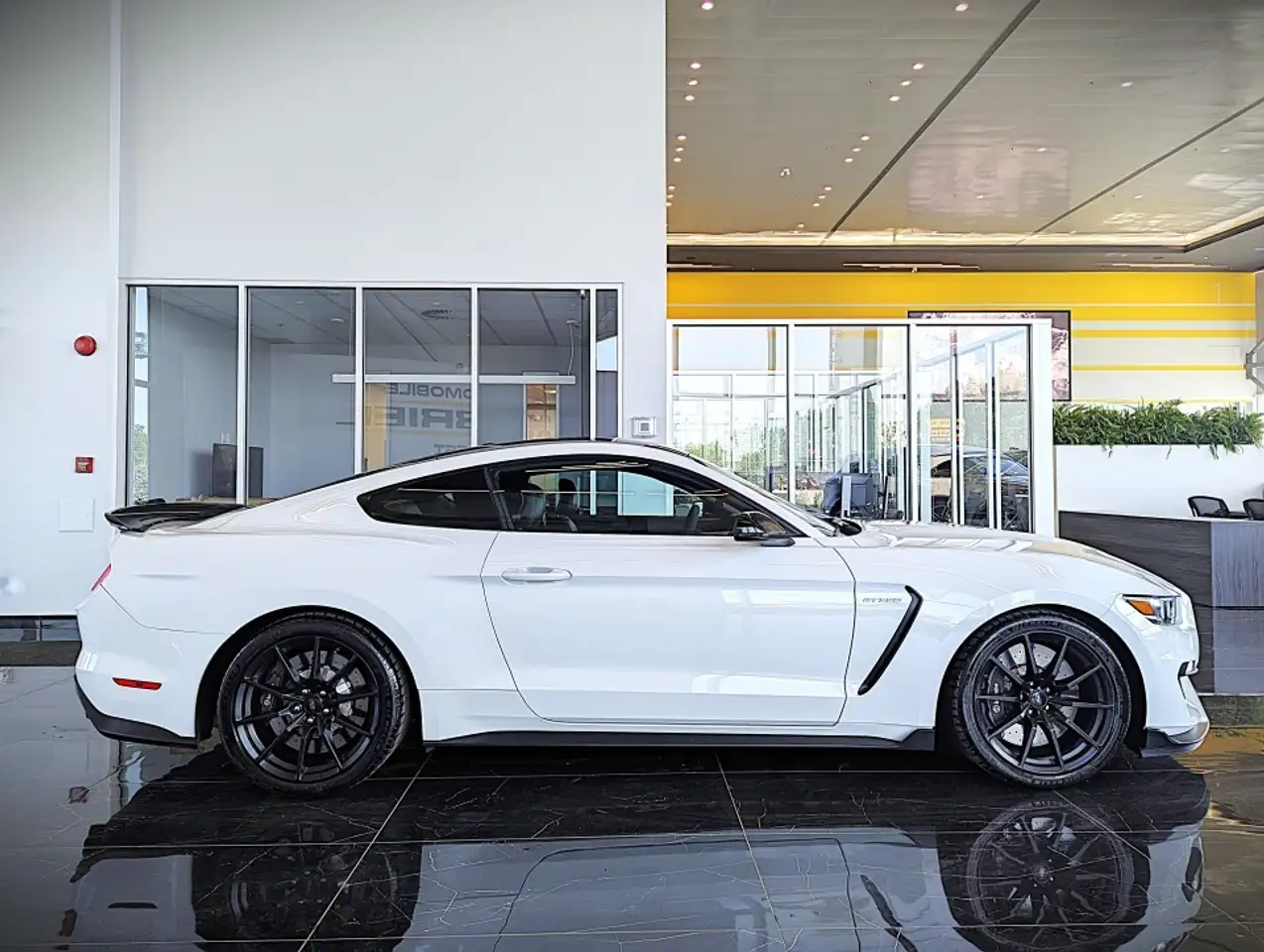 Ford Mustang photo Ford Mustang