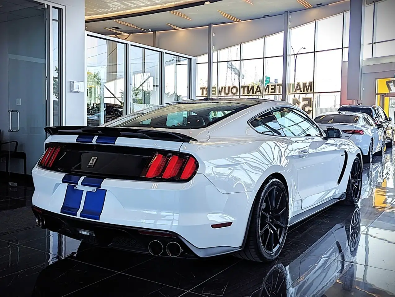 Ford Mustang photo Ford Mustang