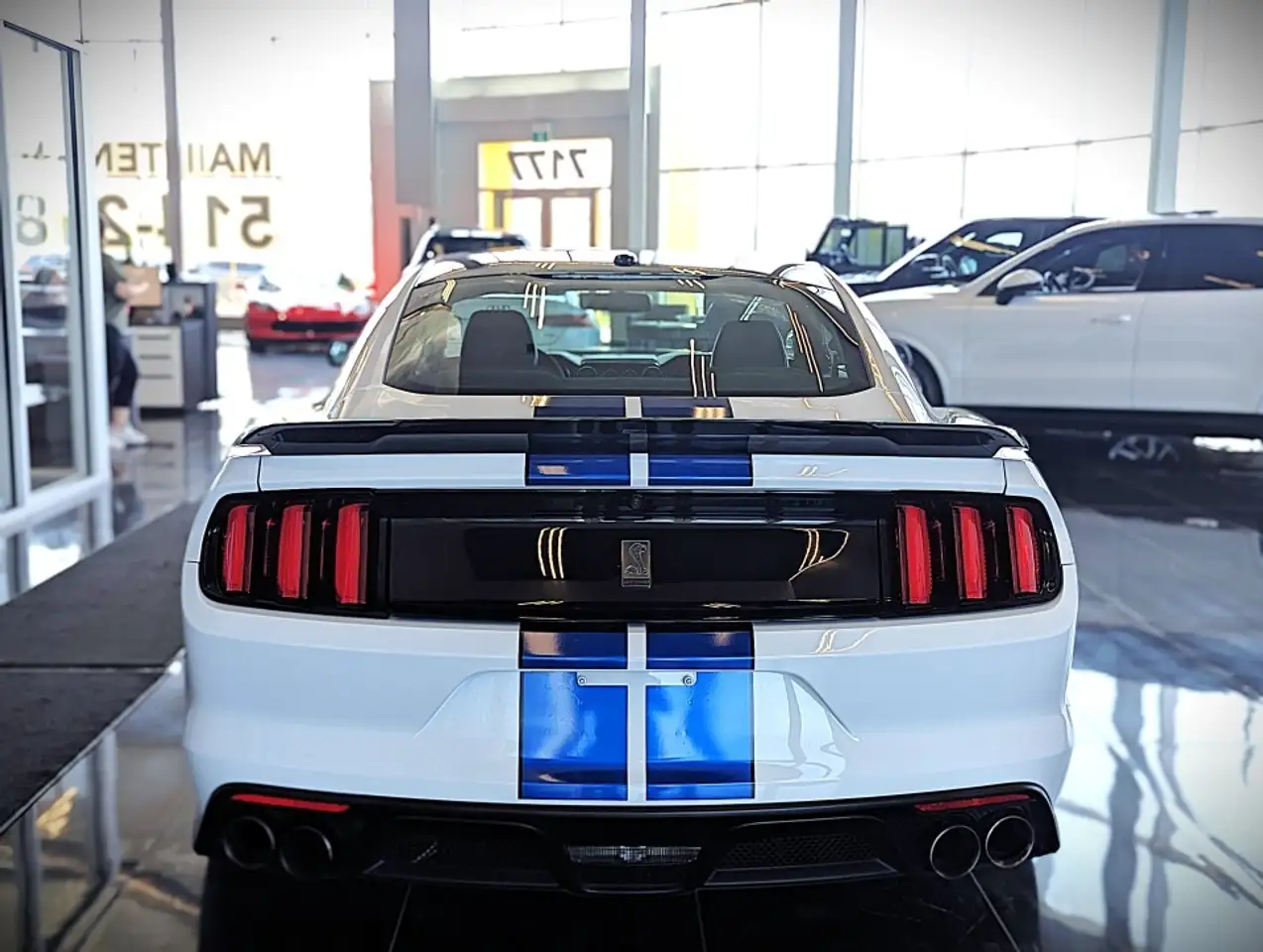 Ford Mustang photo Ford Mustang
