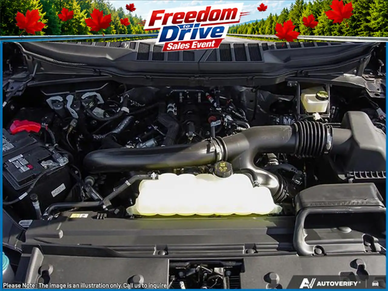 Ford F 150 photo Ford F 150