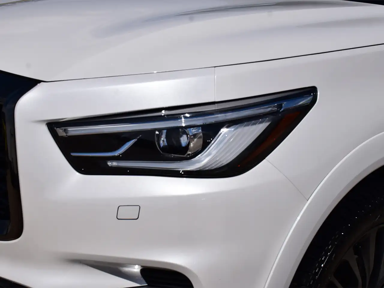 Infiniti QX80 снимка Infiniti QX80
