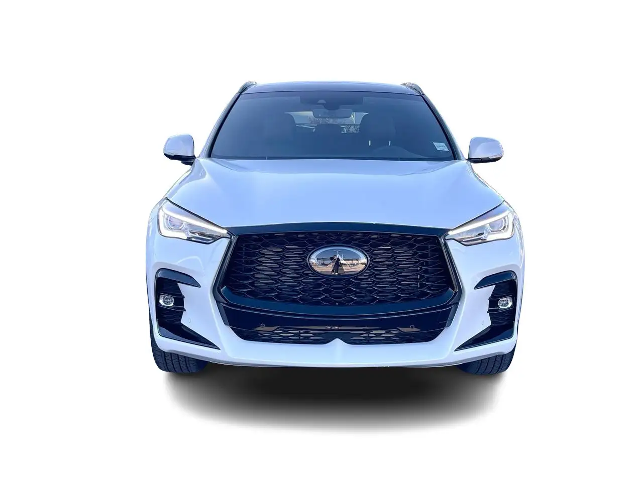 Infiniti QX50 photo Infiniti QX50