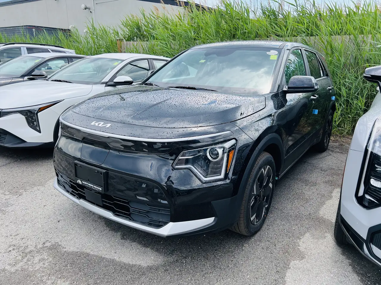 2026 Kia Niro