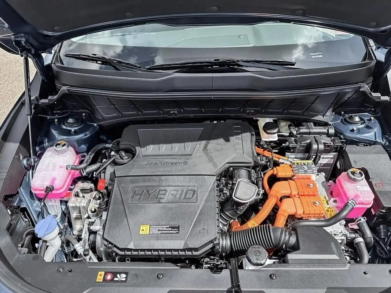 Kia Niro photo Kia Niro