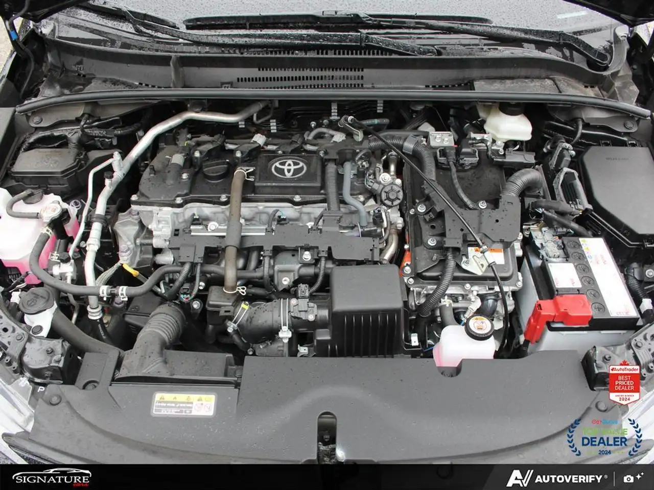 Toyota Corolla photo Toyota Corolla