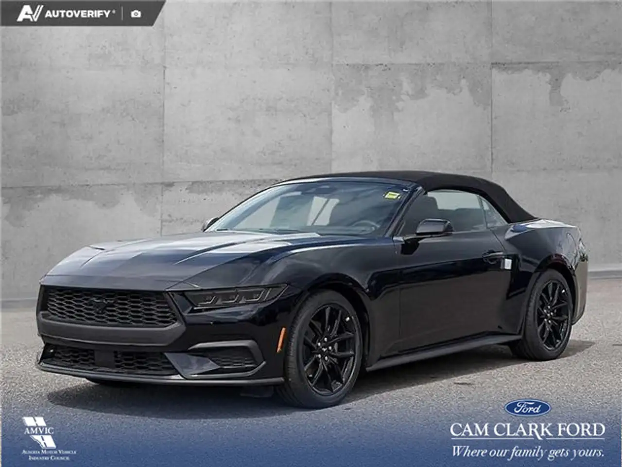 Ford Mustang fotografie Ford Mustang