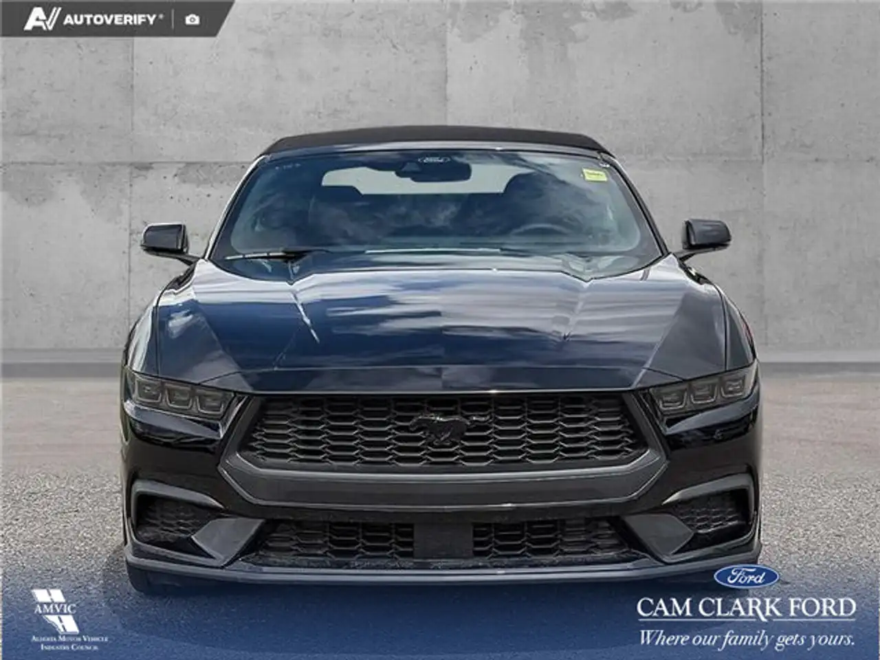 Ford Mustang fotografie Ford Mustang