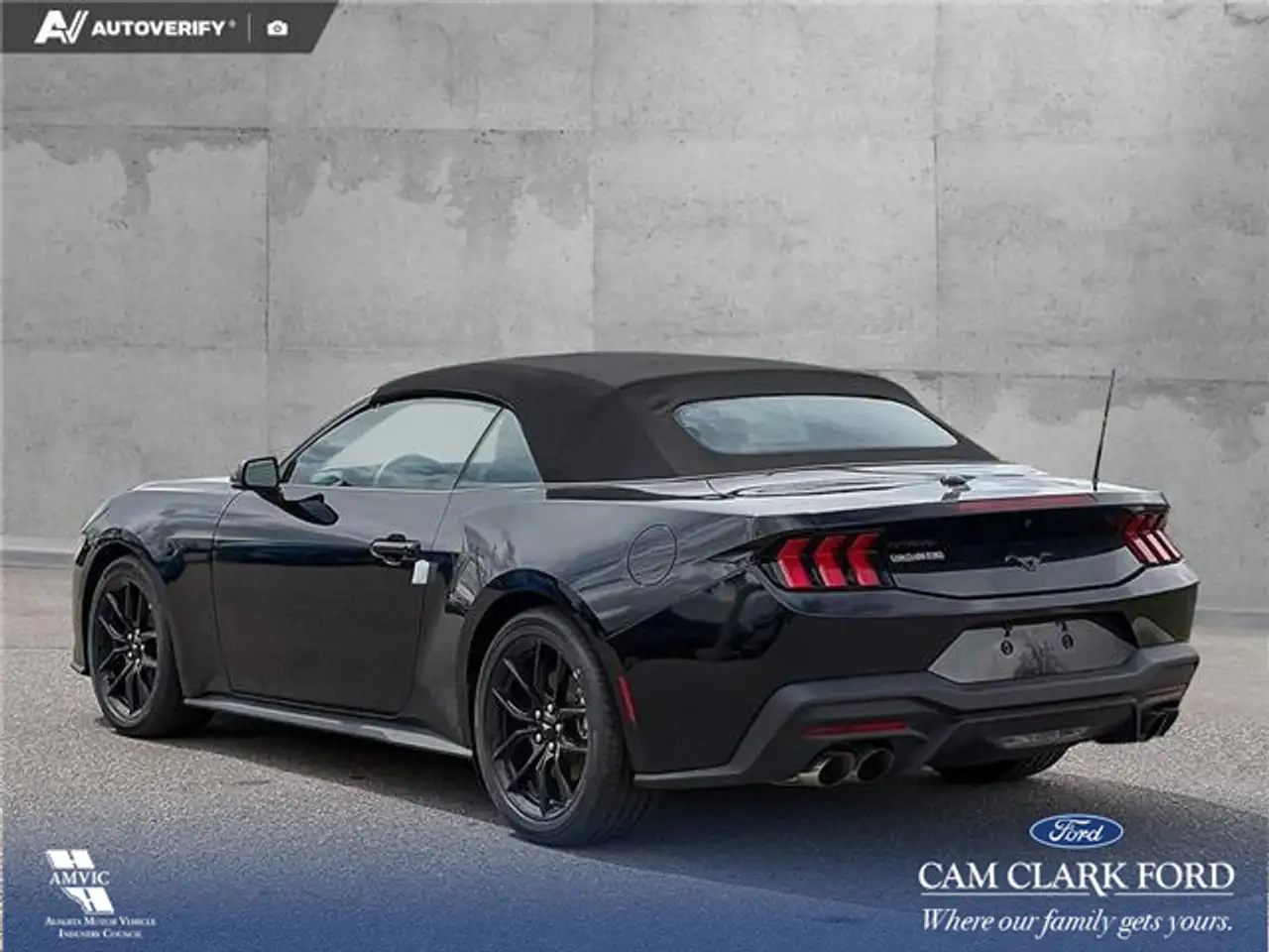Ford Mustang fotografie Ford Mustang