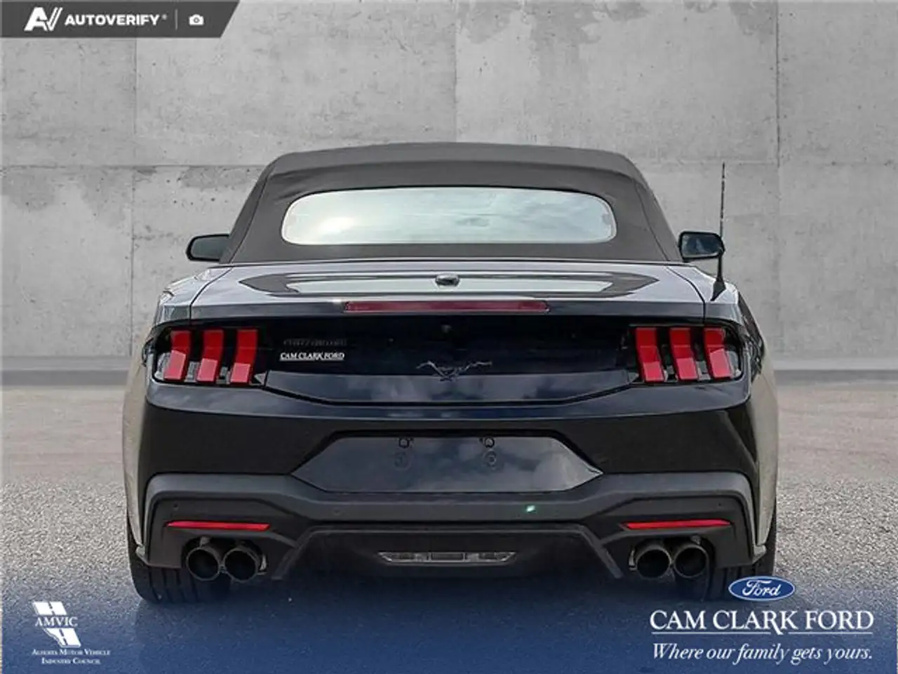 Ford Mustang fotografie Ford Mustang